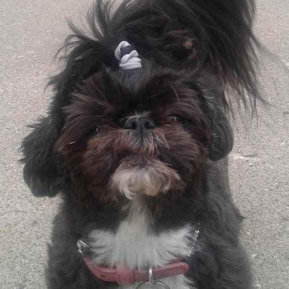 Meet your Posher, Angela - Picture 1 of 1